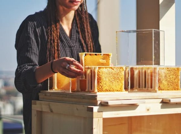Comment procéder pour déménager un ensemble de matériel pour l'apiculture amateur?