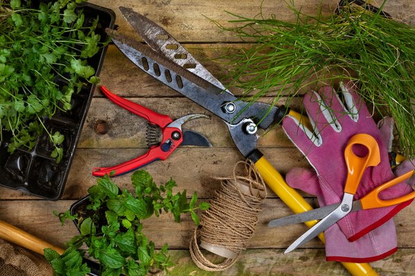 Découvrez où louer des outils de jardinage près de chez vous