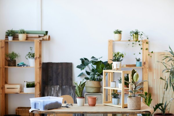 Idées pratiques pour la décoration et aménagement de la maison